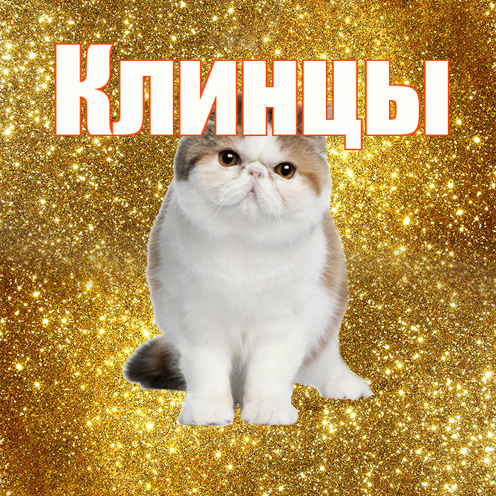 Клинцы! Доброе утро! Красивая открытка Клинцы!