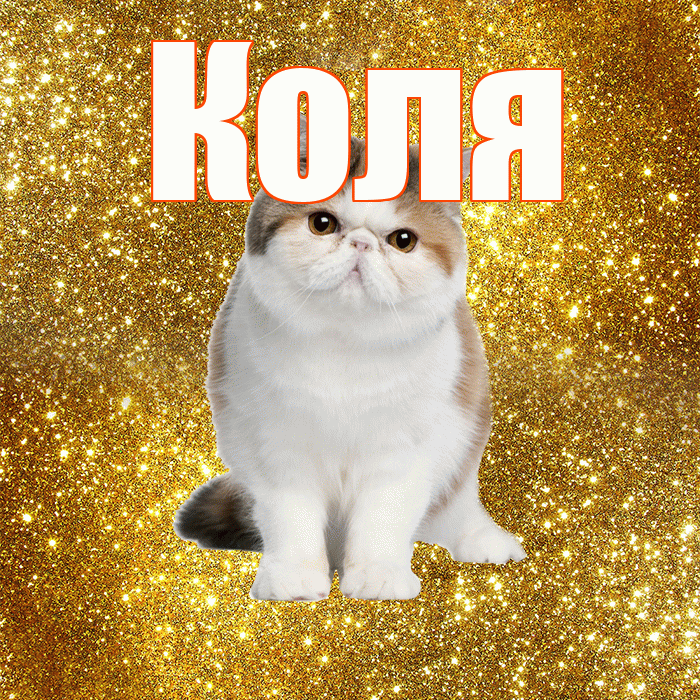 Коля! Доброе утро! Красивая открытка Коле!