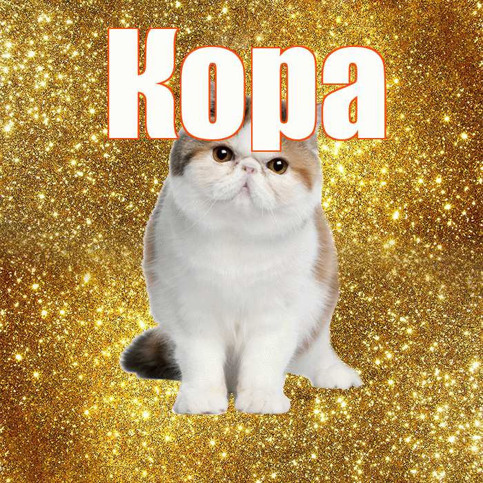 Кора! Доброе утро! Красивая открытка Коре!