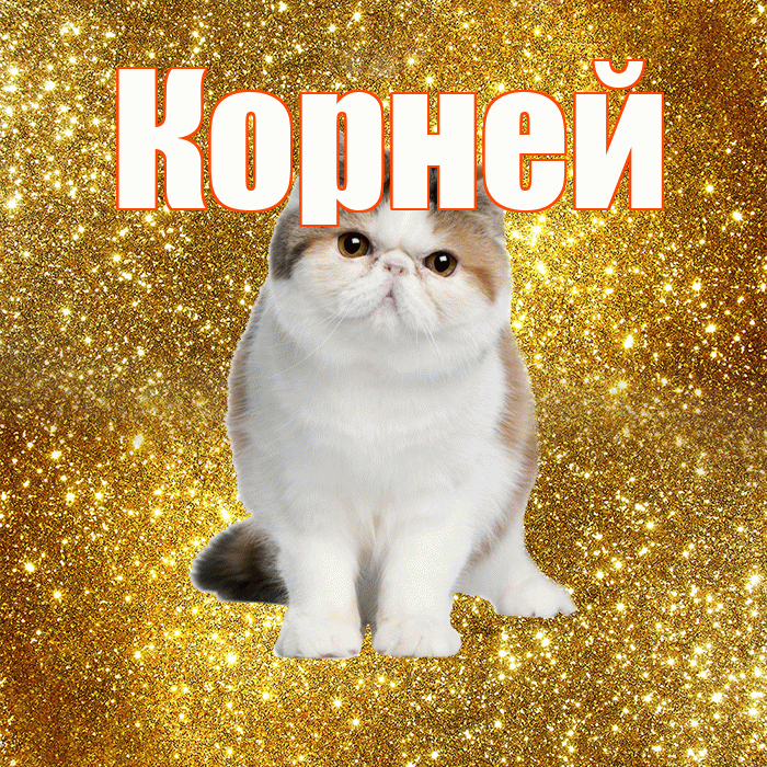 Корней! Доброе утро! Красивая открытка Корнею!