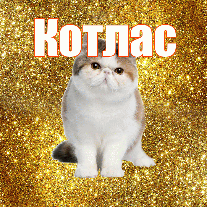 Котлас! Доброе утро! Красивая открытка Котласу!
