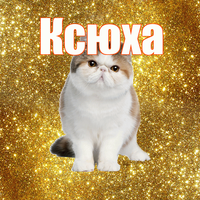 Ксюха! Доброе утро! Красивая открытка !
