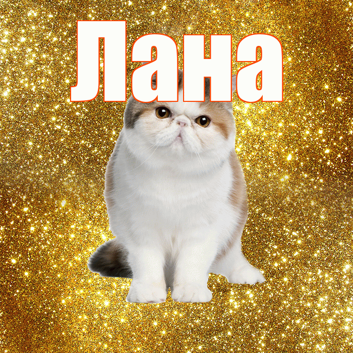 Лана! Доброе утро! Красивая открытка Лану!