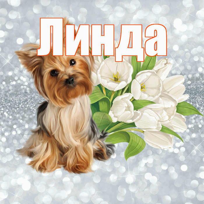 Линда! Доброе утро! Красивая открытка Линде!