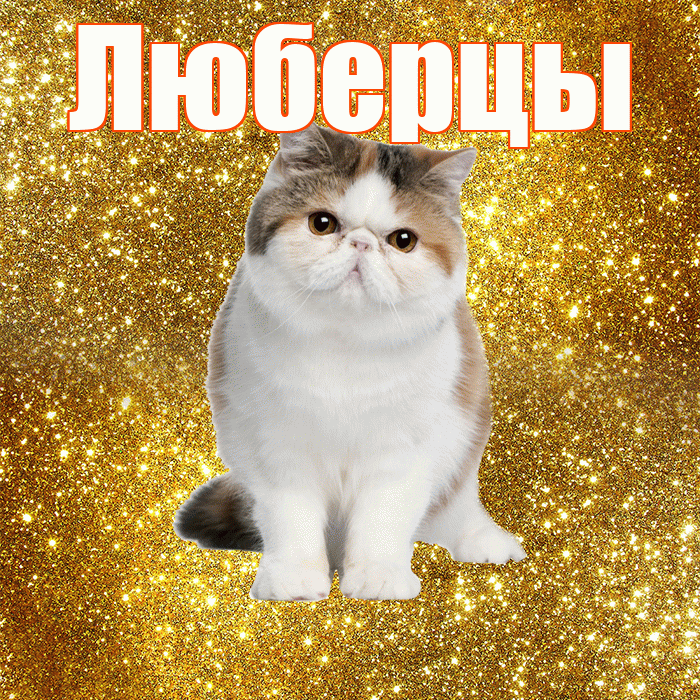 Люберцы! Доброе утро! Красивая открытка Люберцы!