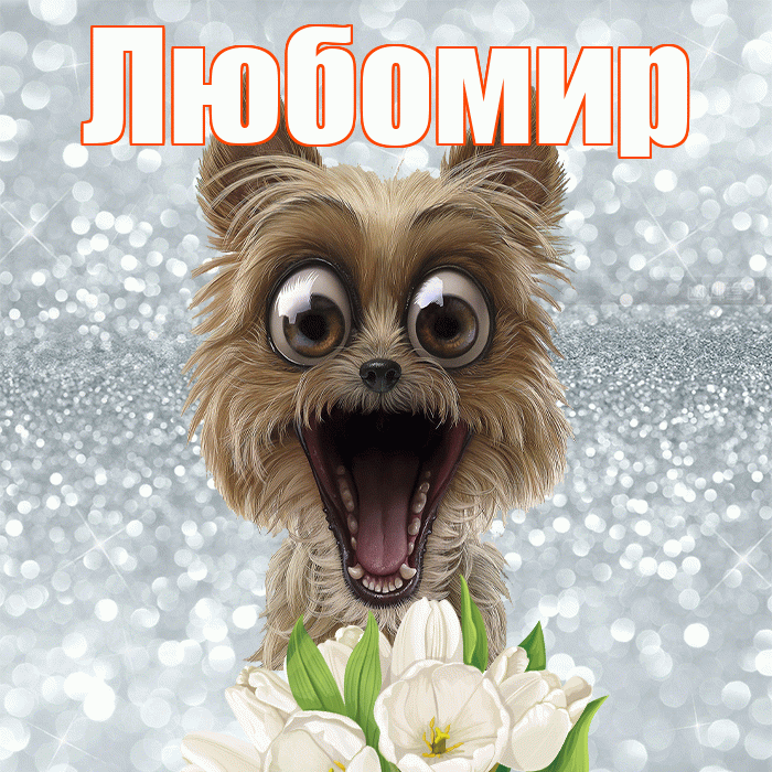 Любомир! Доброе утро! Красивая открытка Любомиру!
