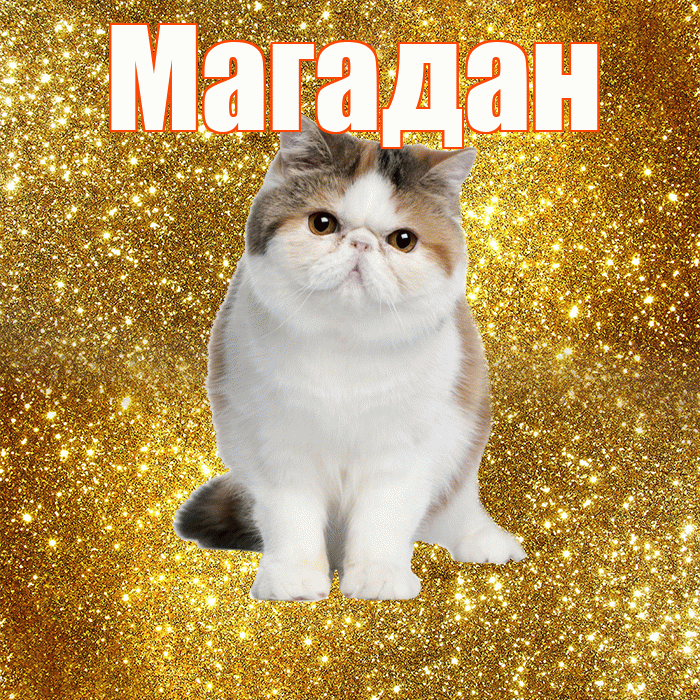 Магадан! Доброе утро! Красивая открытка Магадану!