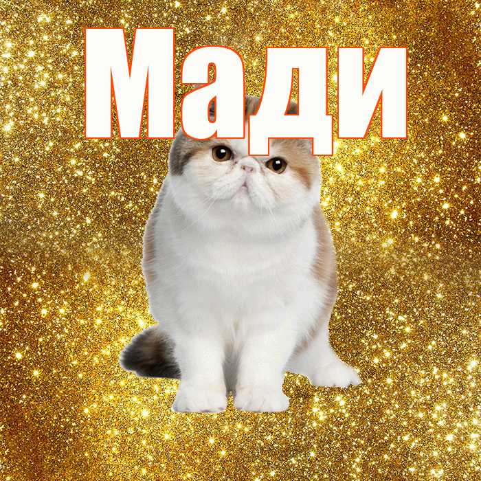 Мади! Доброе утро! Красивая открытка Мади!