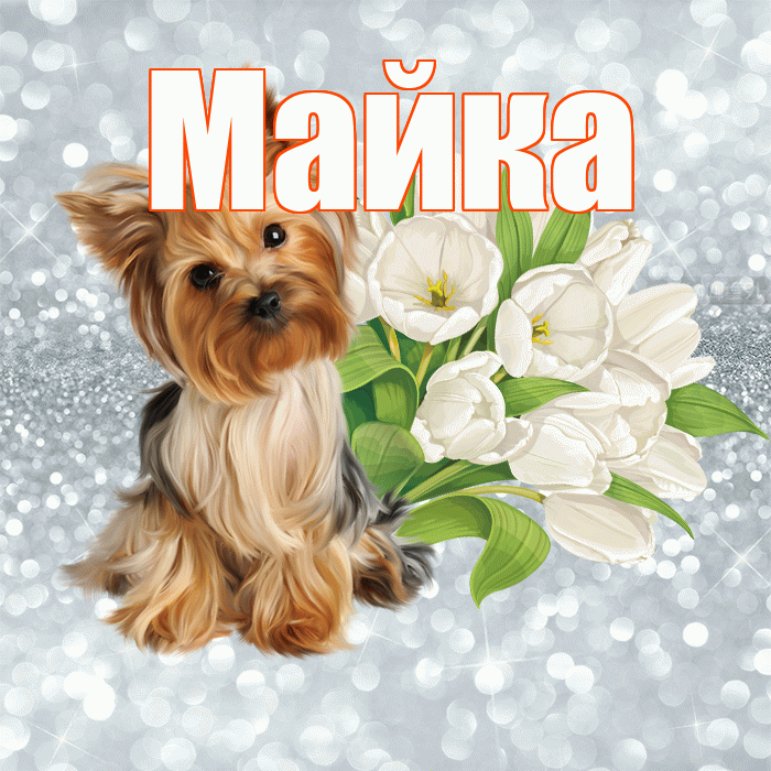 Майка! Доброе утро! Красивая открытка !