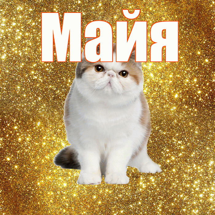 Майя! Доброе утро! Красивая открытка Майе!