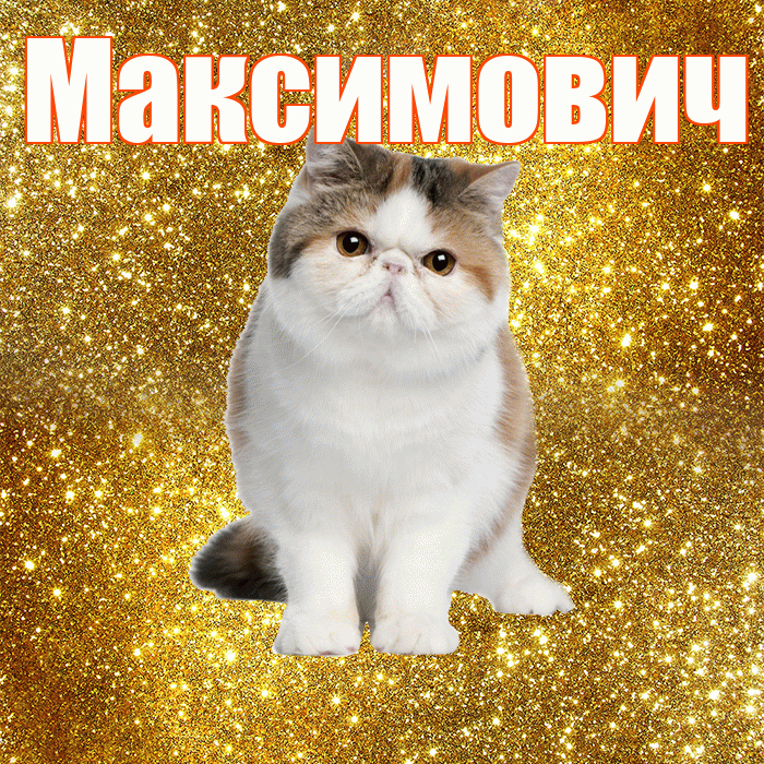 Максимович! Доброе утро! Красивая открытка Максимовичу!
