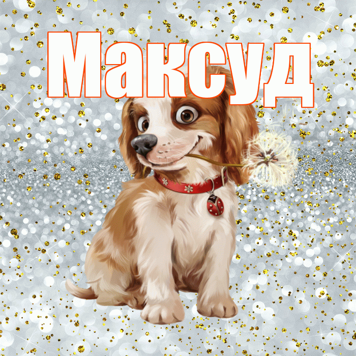Максуд! Доброе утро! Красивая открытка Максуду!