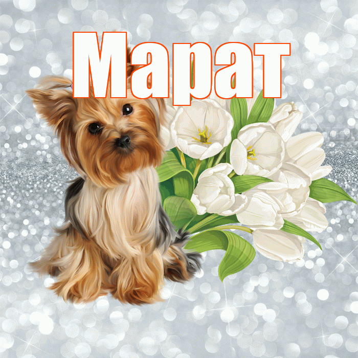 Марат! Доброе утро! Красивая открытка Марату!