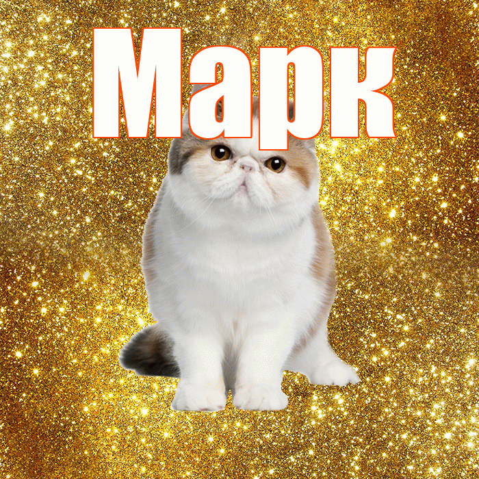 Марк! Доброе утро! Красивая открытка Марку!