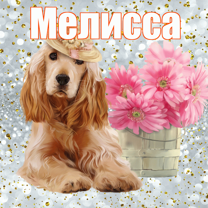 Мелисса! Доброе утро! Красивая открытка Мелиссе!