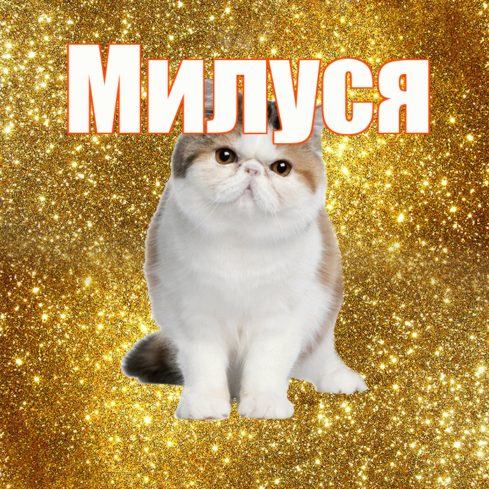 Милуся! Доброе утро! Красивая открытка !