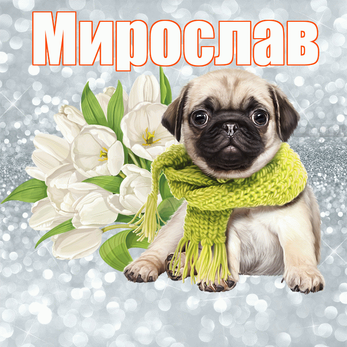 Мирослав! Доброе утро! Красивая открытка Мирославу!