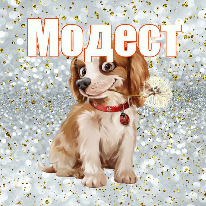 Модест! Доброе утро! Красивая открытка Модесту!