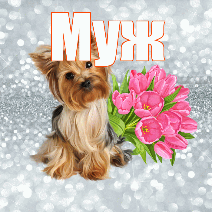 Муж! Доброе утро! Красивая открытка Мужу!