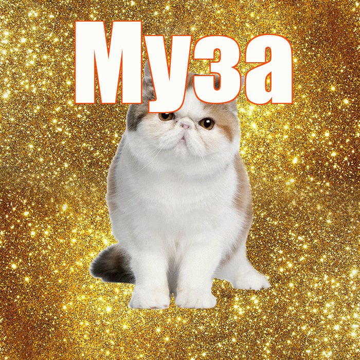 Муза! Доброе утро! Красивая открытка Музе!