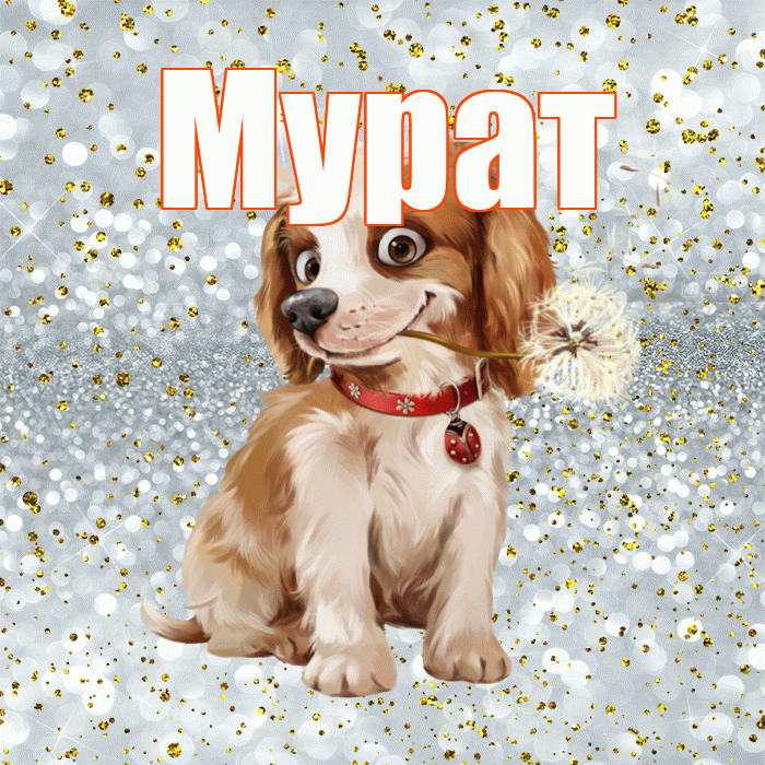 Мурат! Доброе утро! Красивая открытка Мурату!