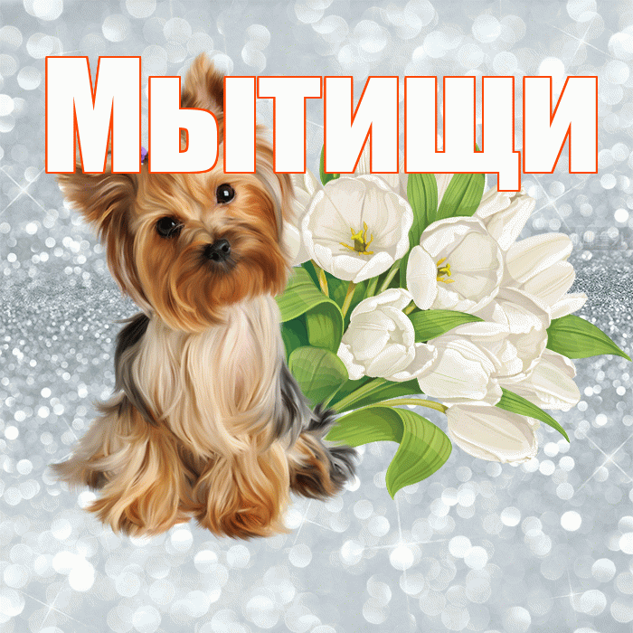 Мытищи! Доброе утро! Красивая открытка Мытищи!