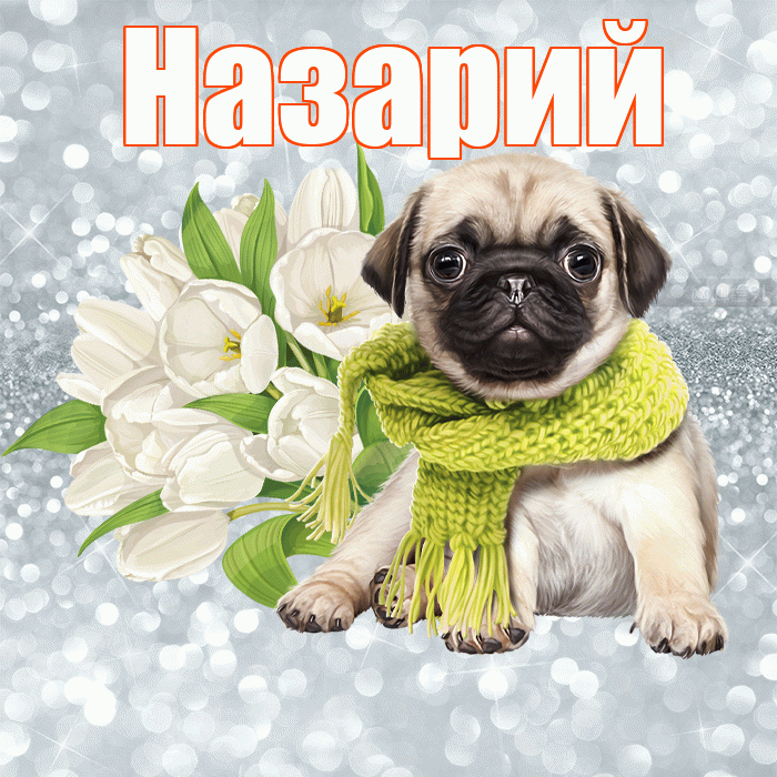 Назарий! Доброе утро! Красивая открытка Назарию!