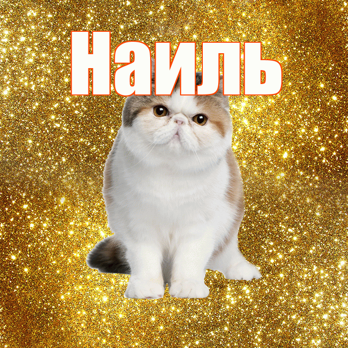 Наиль! Доброе утро! Красивая открытка Наилю!