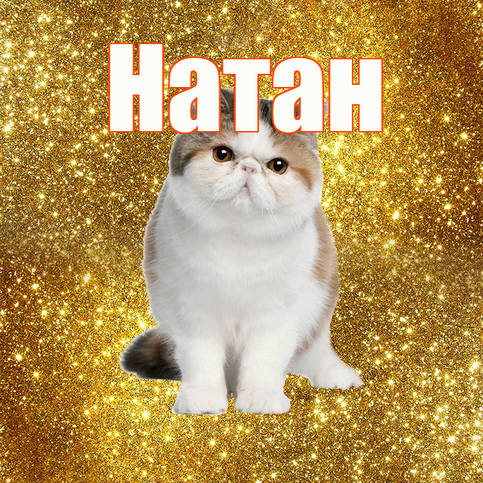 Натан! Доброе утро! Красивая открытка Натану!
