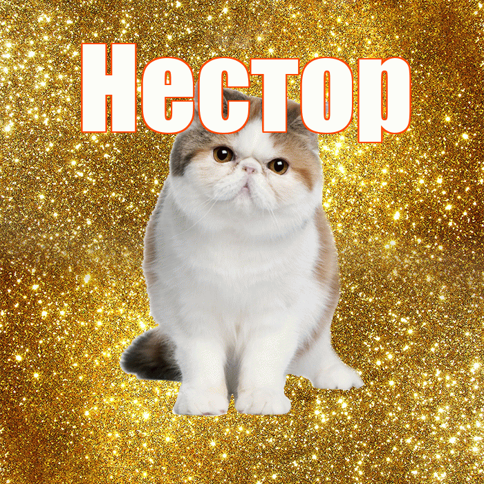Нестор! Доброе утро! Красивая открытка Нестору!