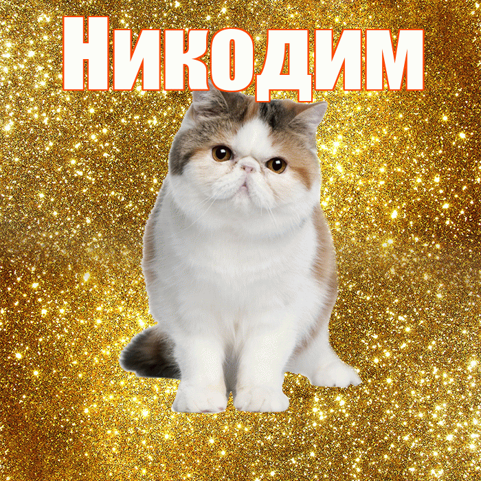 Никодим! Доброе утро! Красивая открытка Никодиму!