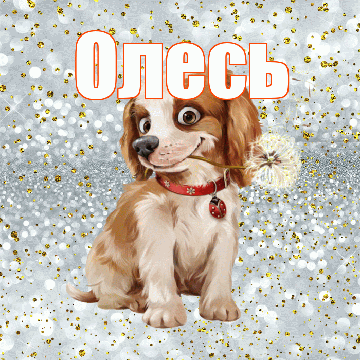 Олесь! Доброе утро! Красивая открытка Олесю!