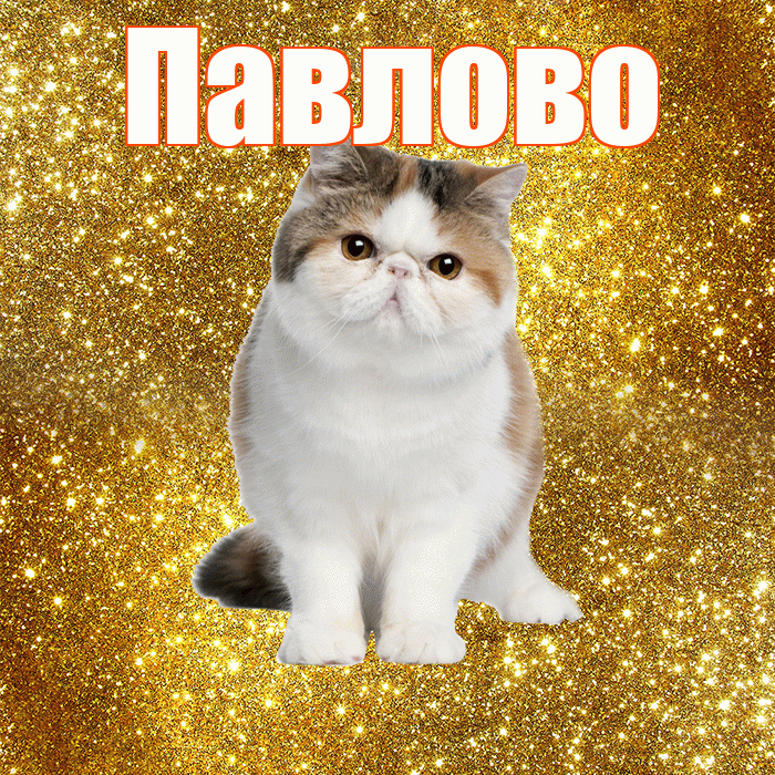 Павлово! Доброе утро! Красивая открытка Павлово!