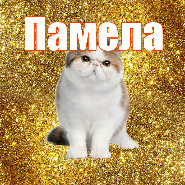 Памела! Доброе утро! Красивая открытка Памеле!