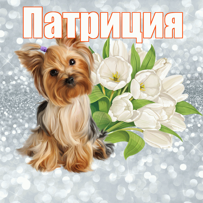 Патриция! Доброе утро! Красивая открытка Патрицию!