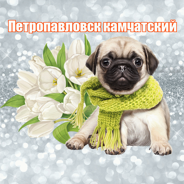Петропавловск камчатский! Доброе утро! Красивая открытка Петропавловску!