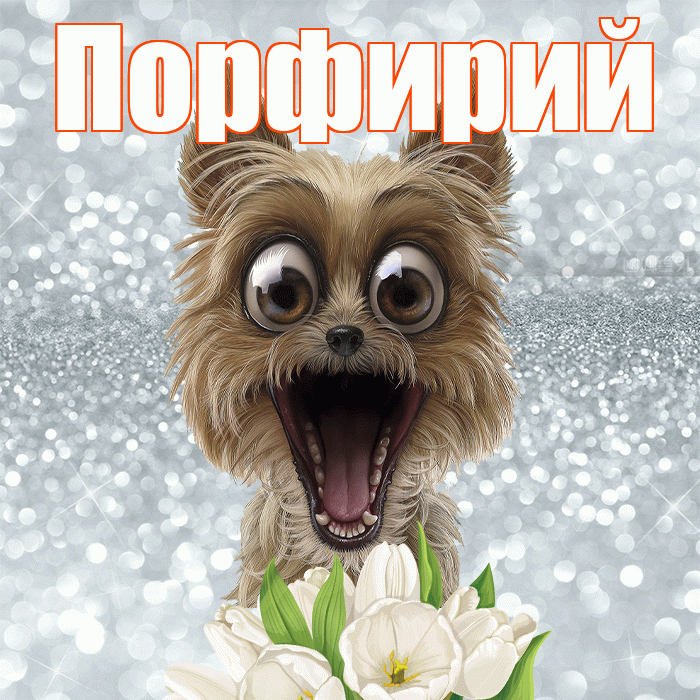 Порфирий! Доброе утро! Красивая открытка Порфирию!