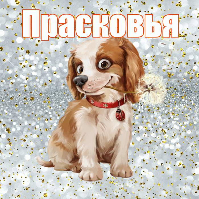 Прасковья! Доброе утро! Красивая открытка Прасковье!