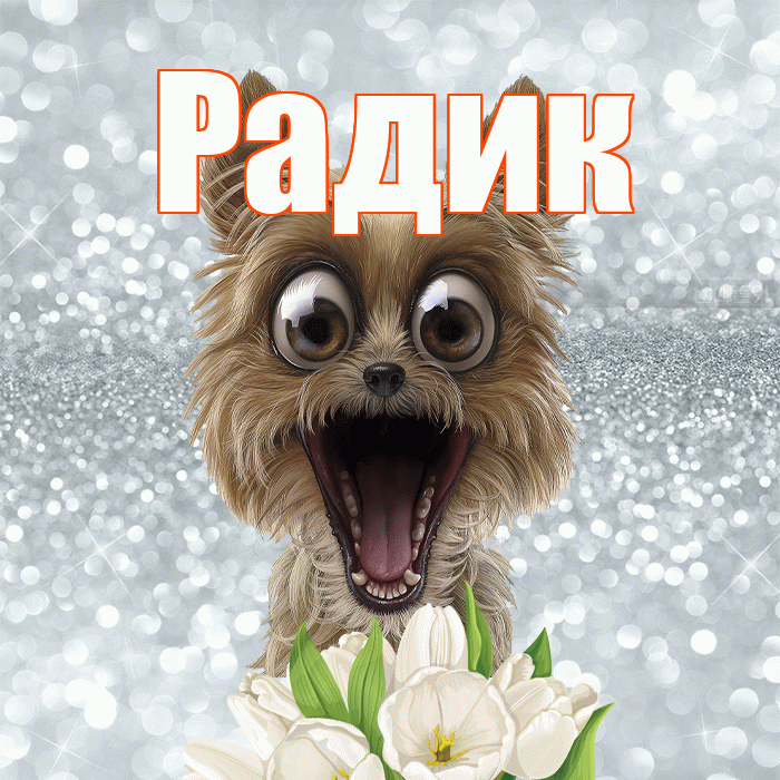 Радик! Доброе утро! Красивая открытка !