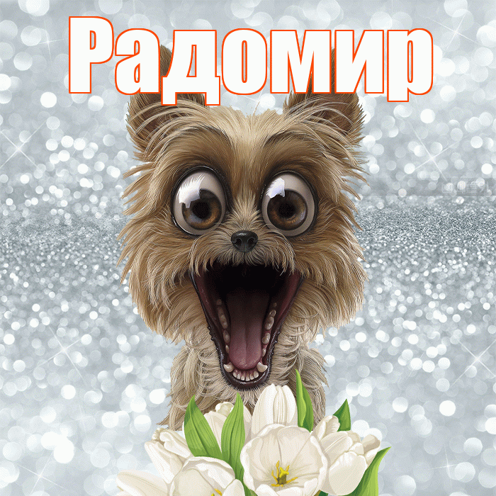 Радомир! Доброе утро! Красивая открытка Радомиру!