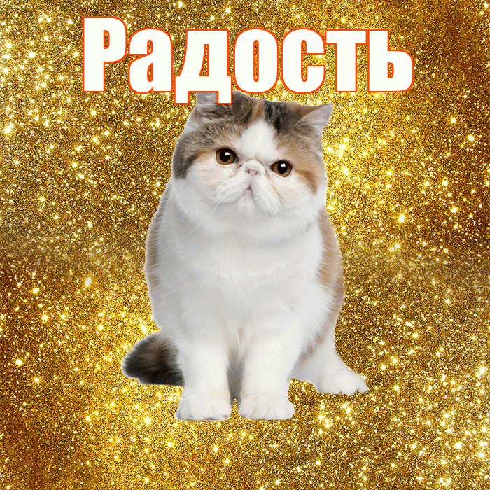 Радость! Доброе утро! Красивая открытка Радости!