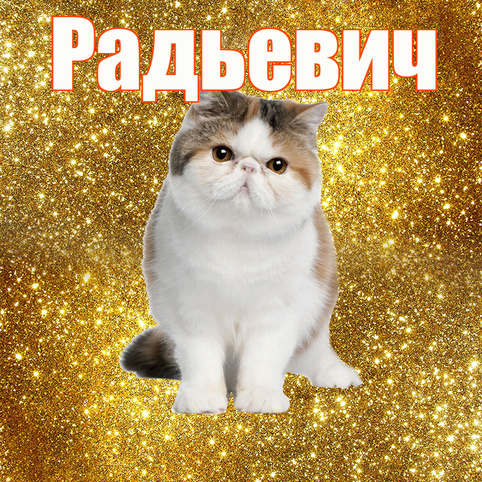Радьевич! Доброе утро! Красивая открытка Радьевичу!