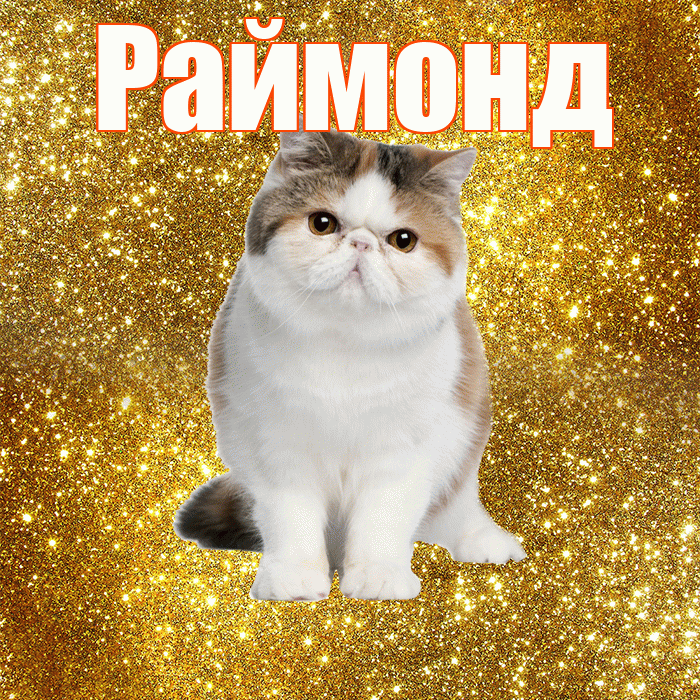 Раймонд! Доброе утро! Красивая открытка Раймонду!