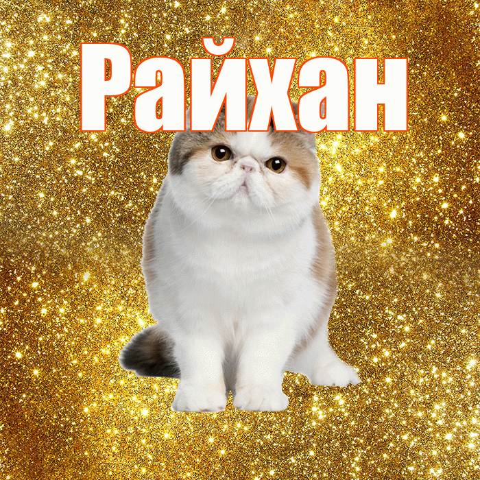 Райхан! Доброе утро! Красивая открытка Райхан!