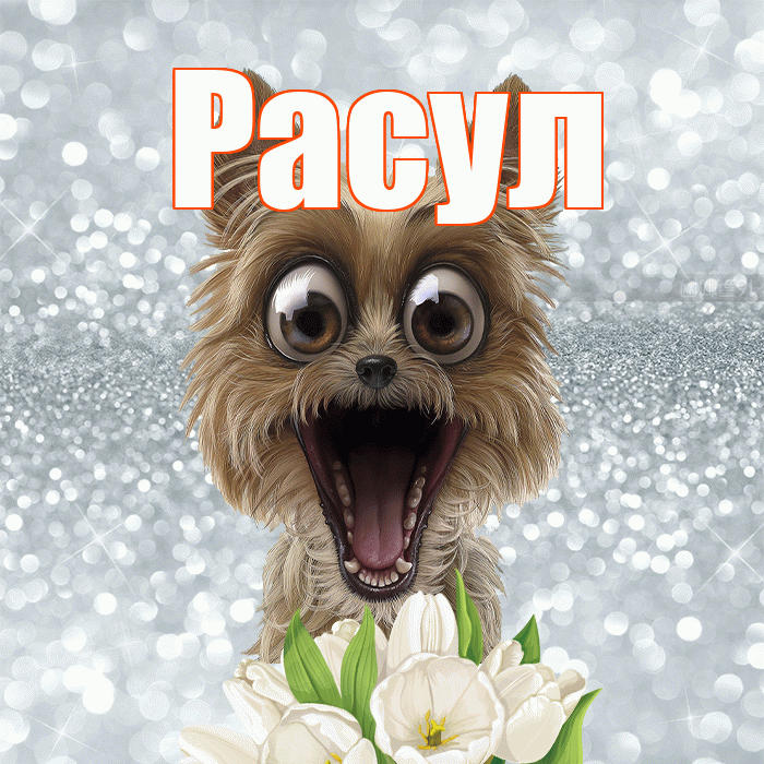 Расул! Доброе утро! Красивая открытка Расулу!