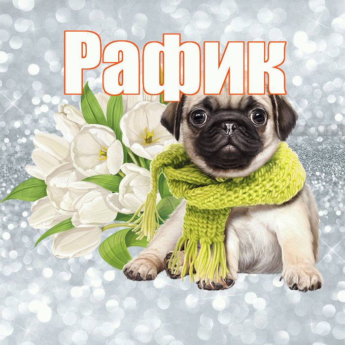 Рафик! Доброе утро! Красивая открытка Рафику!