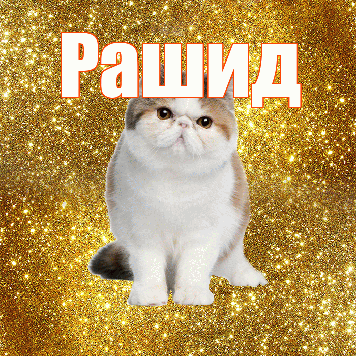 Рашид! Доброе утро! Красивая открытка Рашиду!