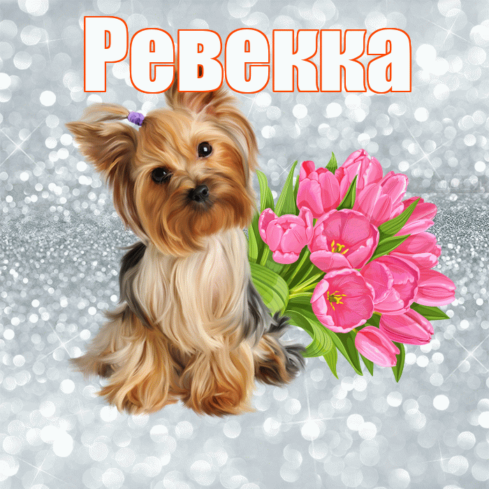 Ревекка! Доброе утро! Красивая открытка Ревекке!
