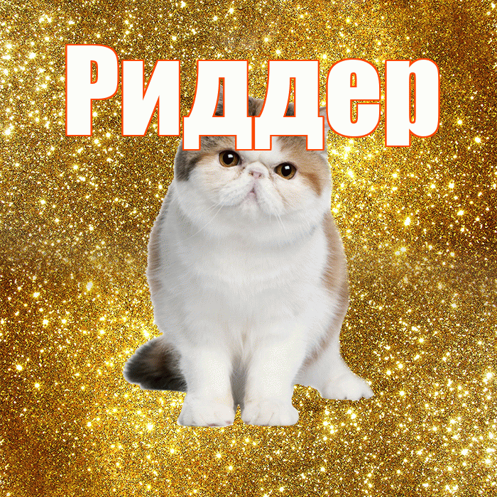 Риддер! Доброе утро! Красивая открытка Риддеру!
