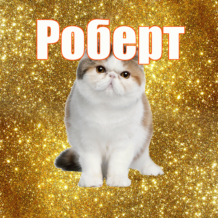 Роберт! Доброе утро! Красивая открытка Роберту!
